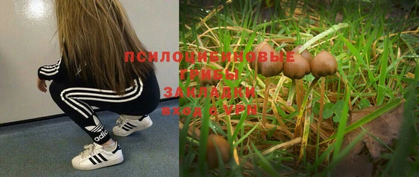 твердый Беслан