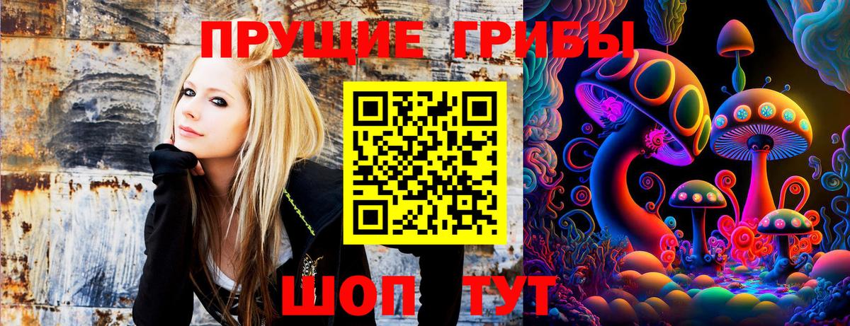 Зеленодольск  Галлюциногенные грибы прущие грибы  Вход с VPN 